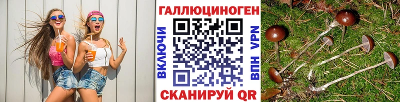 даркнет сайт  Татарск  Псилоцибиновые грибы Cubensis 