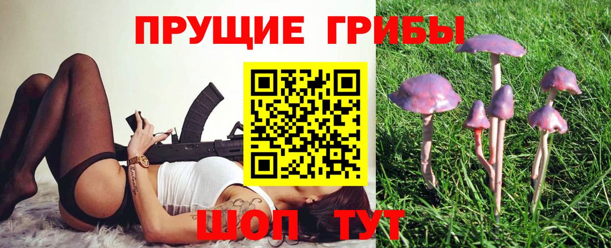 Псилоцибиновые грибы Cubensis  Вход с VPN  Татарск  Галлюциногенные грибы мухоморы 
