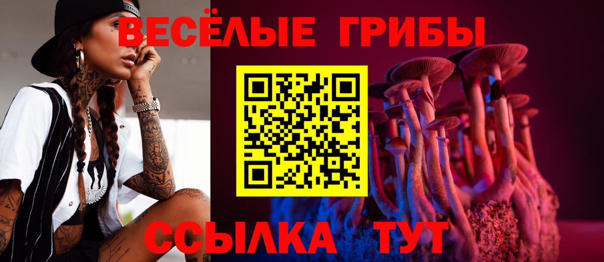 Псилоцибиновые грибы Psilocybe Татарск